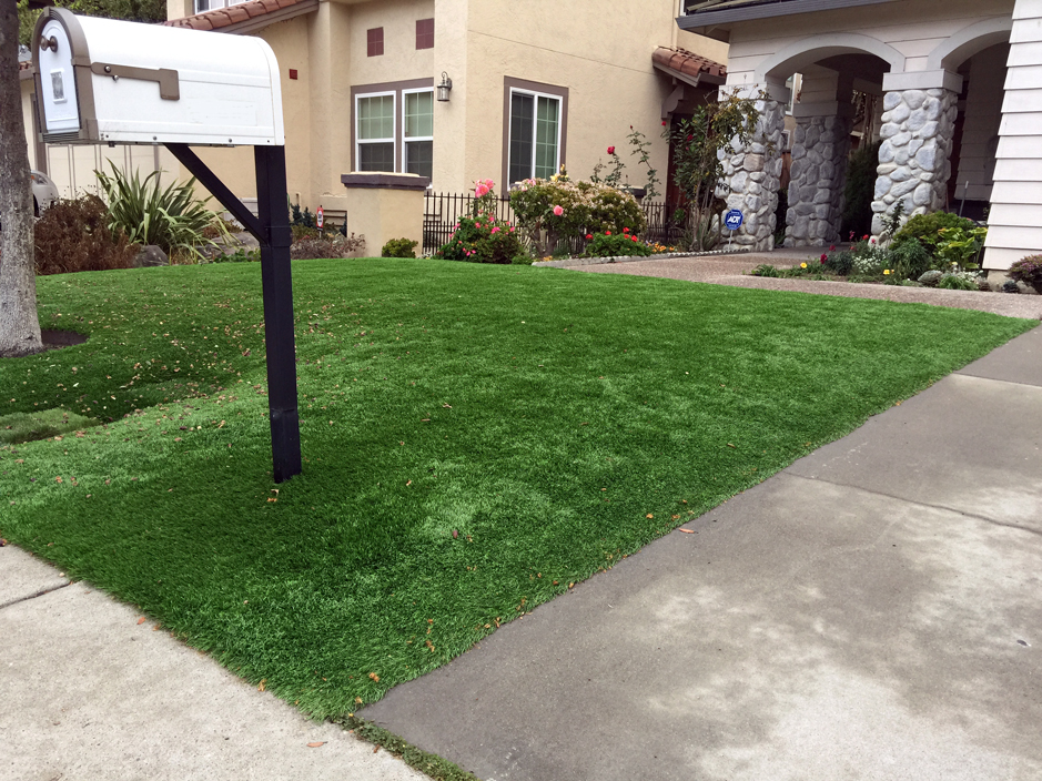 The Installation Process: What to Expect from Artificial Grass Installers