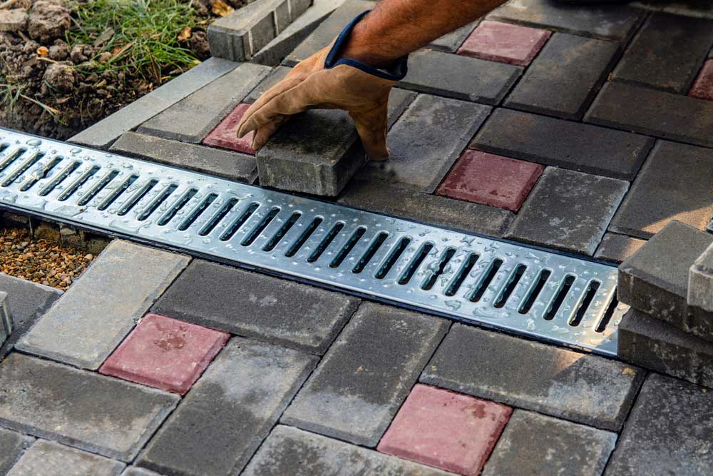 How Poor Drainage Affects Your Garden and How to Fix It